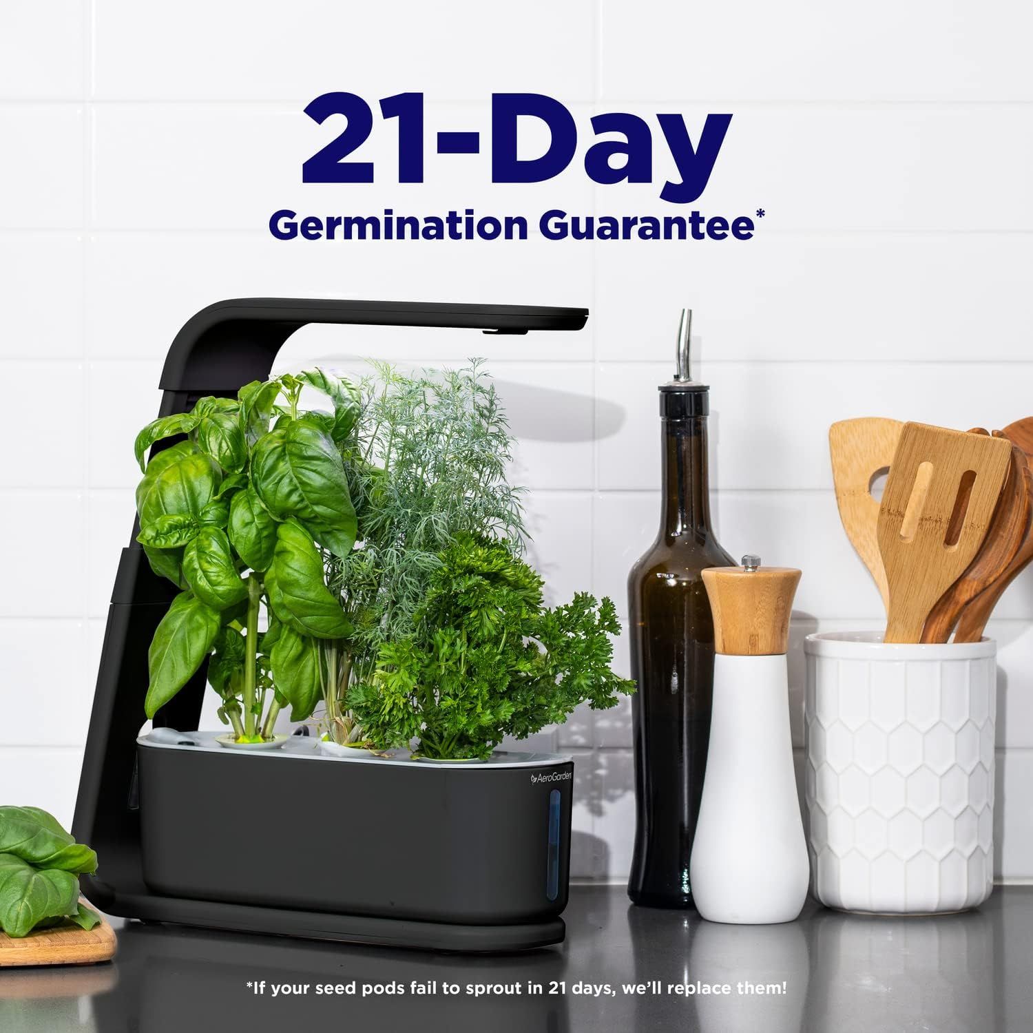 AeroGarden Sprout with Gourmet Herbs Seed Pod Kit - Black by AeroGarden - Image 3