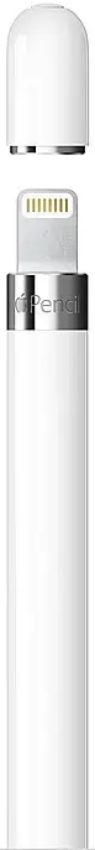 Apple Pencil (1st Generation) with USB-C to Apple Pencil Adapter - White by Apple - Image 2
