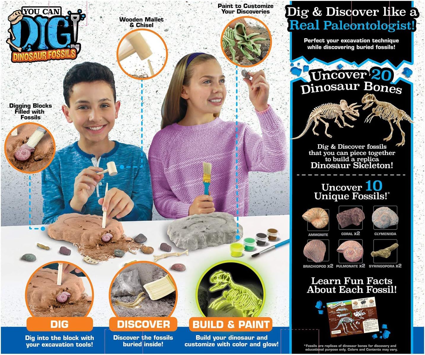 ArtSkills You Can Dig Dinosaur Fossils Epic Lab Science Kits Dinosaur Fossils (17 Pieces) - Brown/Grey by ArtSkills - Image 2