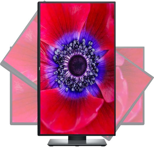 SIL-image-3.jpg