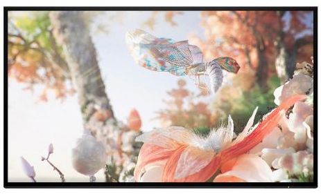HP Z25xs G3 QHD USB-C DreamColor Display Monitor (No Stand) 25" - Grey - 25 Inch by HP - Refurbished - Very Good condition - US$338.98