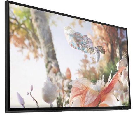 HP Z25xs G3 QHD USB-C DreamColor Display Monitor (No Stand) 25" - Grey - 25 Inch by HP - Image 2