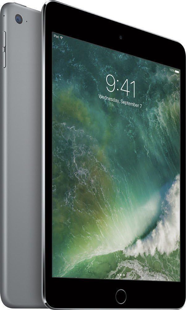 Refurbished iPad Mini 7.9-inch (2015) 4th Gen | Reebelo US