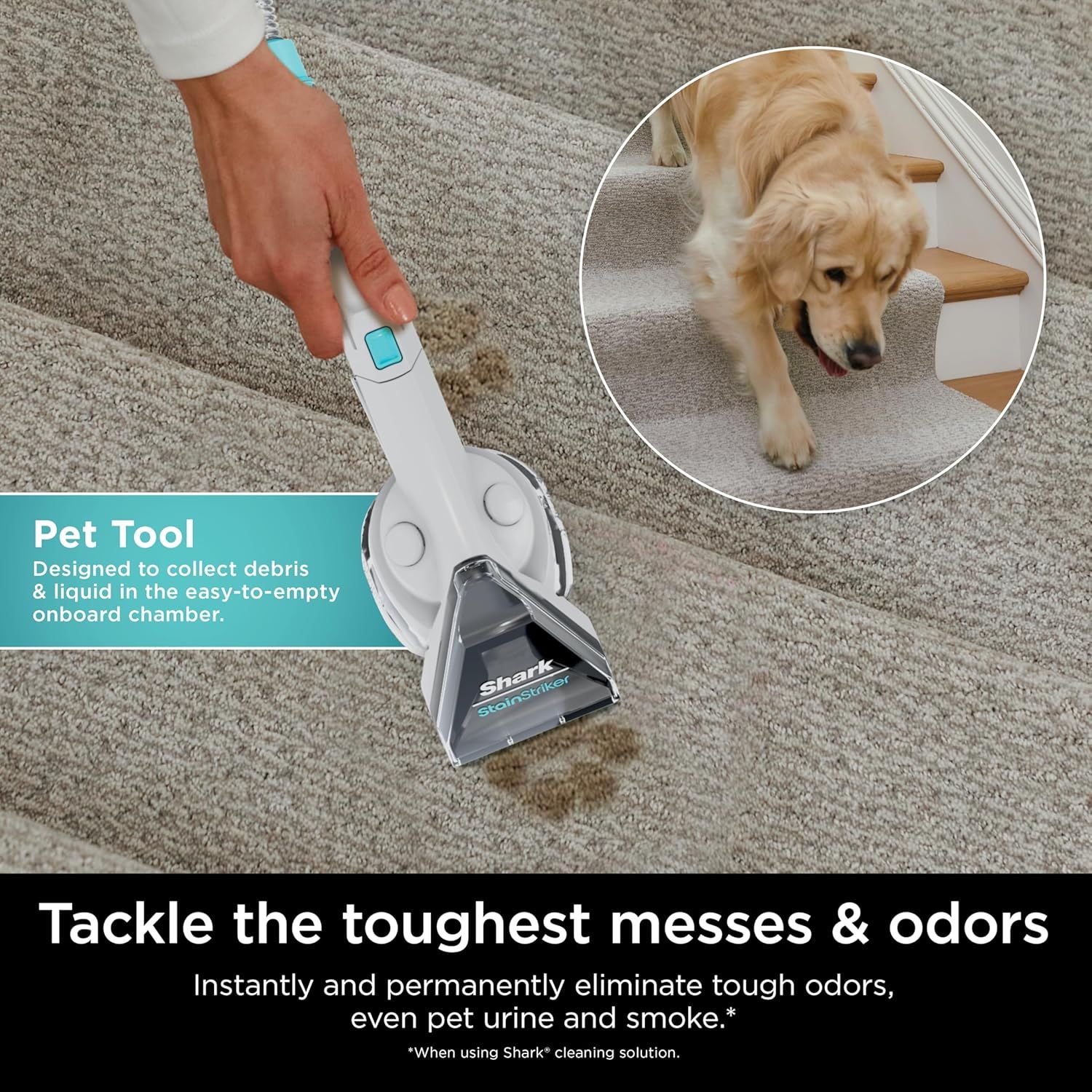Shark Stainstriker Portable Carpet And Upholstery Cleaner PX201 - White by Shark - Image 4