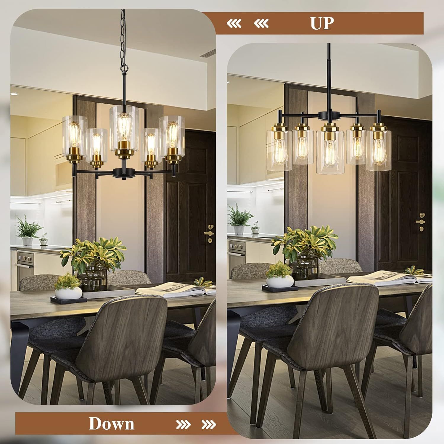 Sucolite 5-Light Chandelier with Clear Glass Shades 3358-P5 - Black/Gold by Sucolite - Image 4