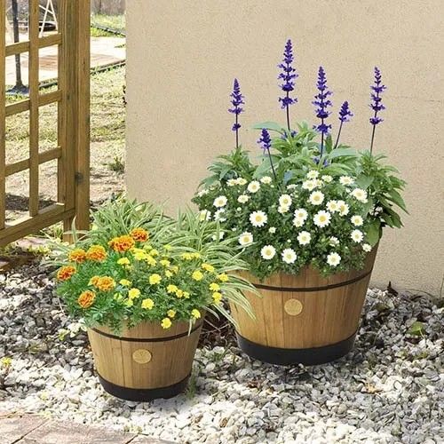 VegTrug Build a Barrel Kit Planter 46cm - Natural by VegTrug - Image 2